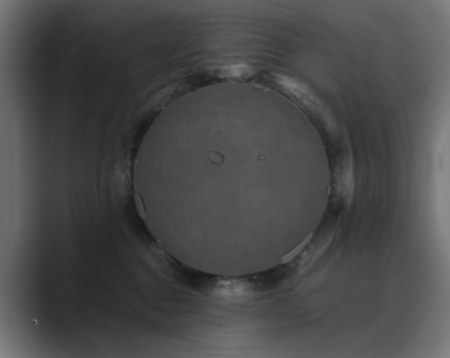 X0000089950376200706291216