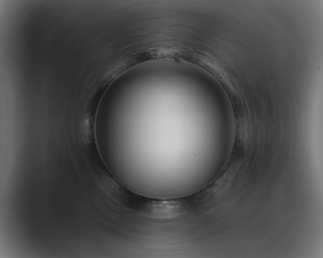 X0000089950378200706291216