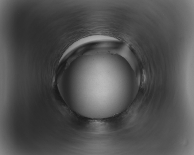 X0000089950380200706291216