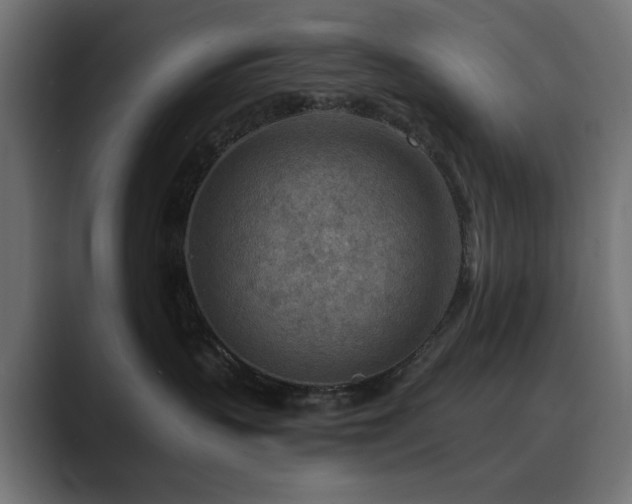 X0000089950383200706291216