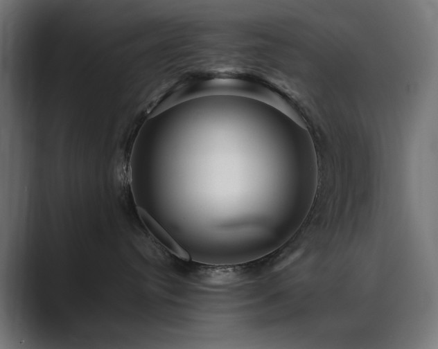 X0000089950384200706291216
