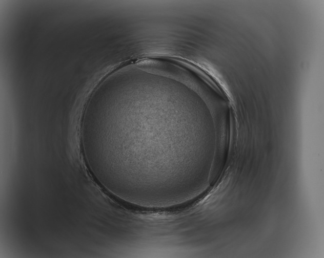 X0000089950385200706291215