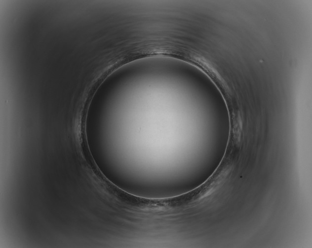 X0000089950386200706291215