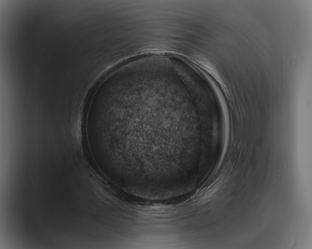 X0000089950387200706291215