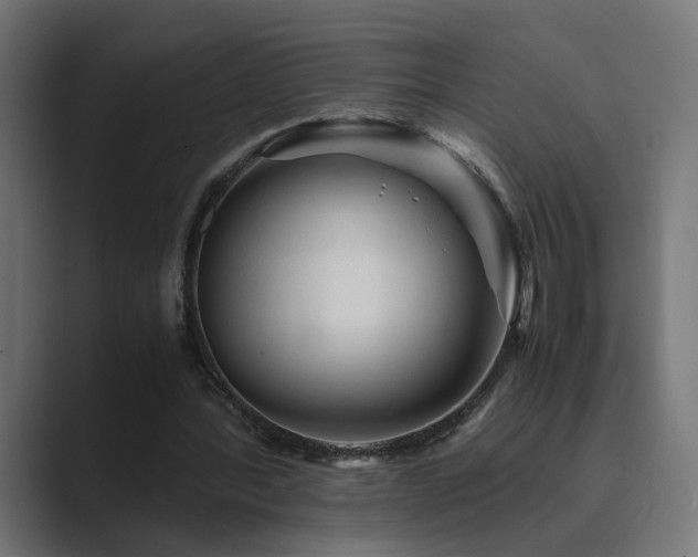 X0000089950388200706291215