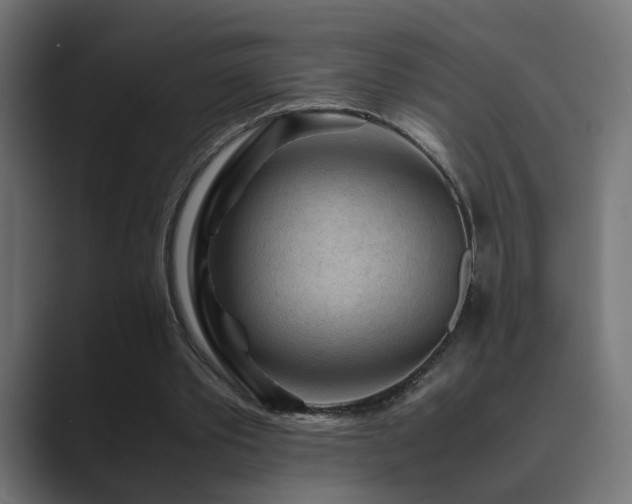 X0000089950389200706291215