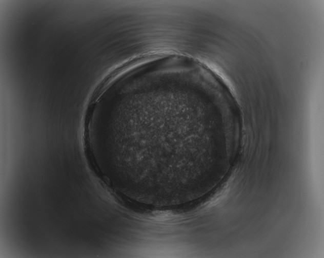 X0000089950391200706291215