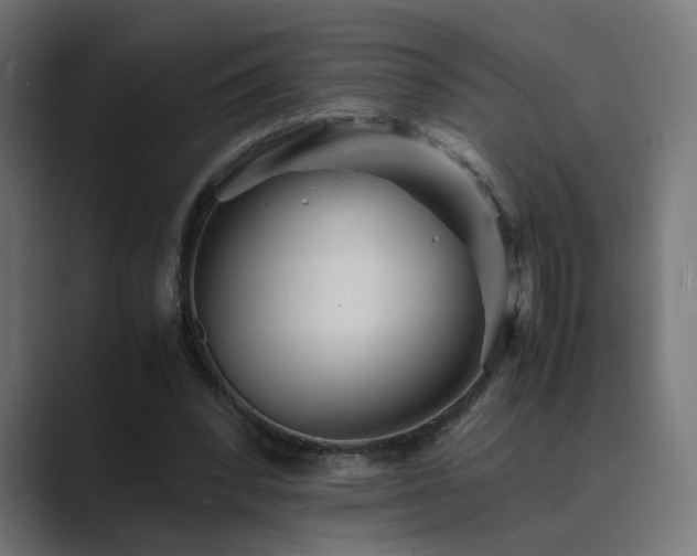 X0000089950392200706291215