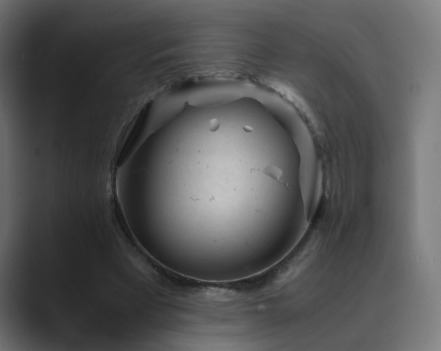 X0000089950393200706291215
