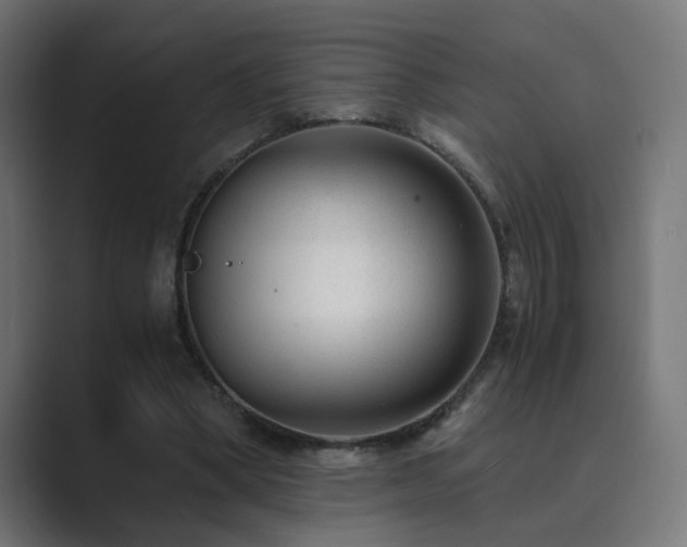 X0000089950394200706291215