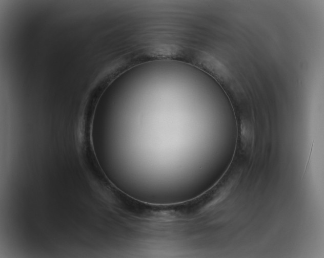 X0000089950396200706291215
