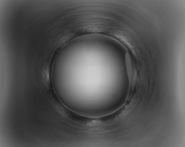 X0000089950398200706291215