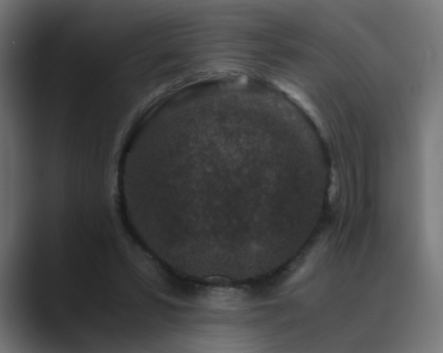 X0000089950399200706291215
