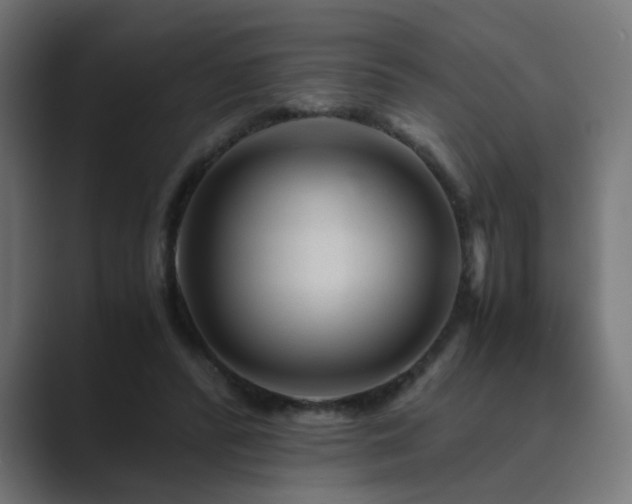 X0000089950400200706291215