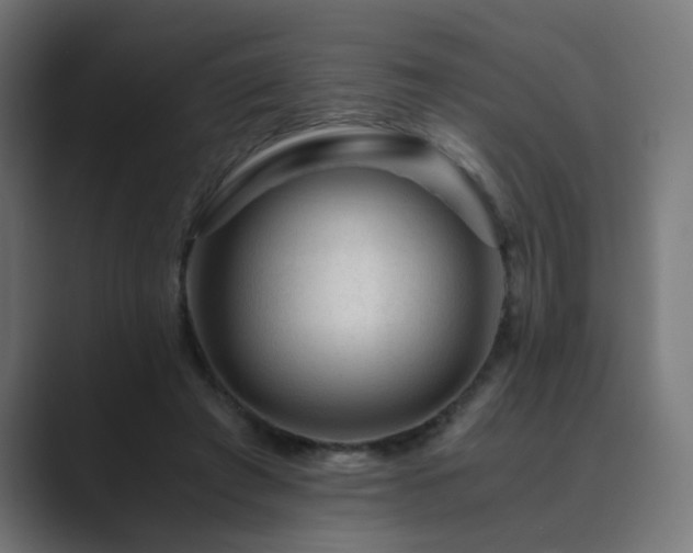 X0000089950401200706291215