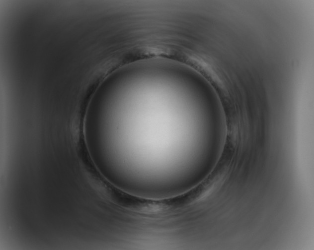 X0000089950402200706291215