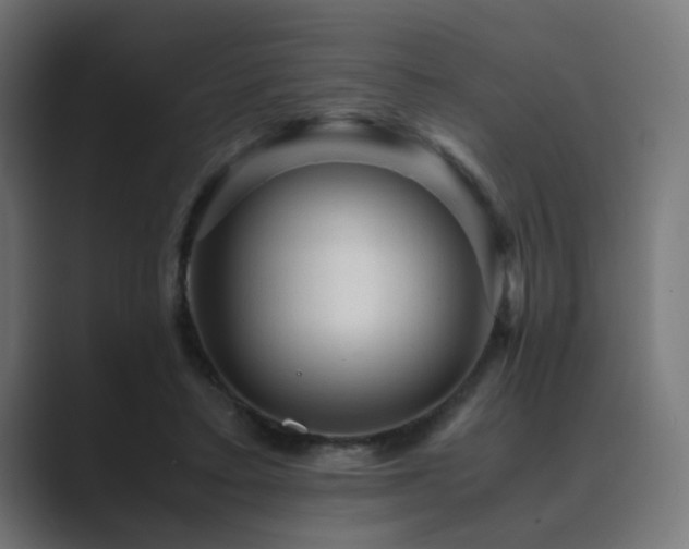 X0000089950403200706291215