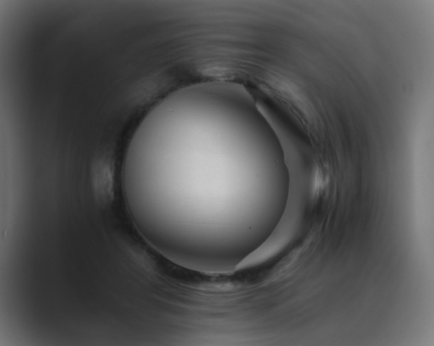 X0000089950404200706291215