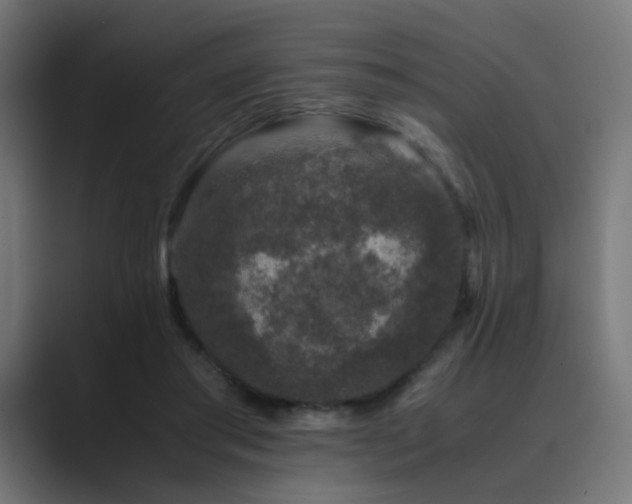 X0000089950405200706291215