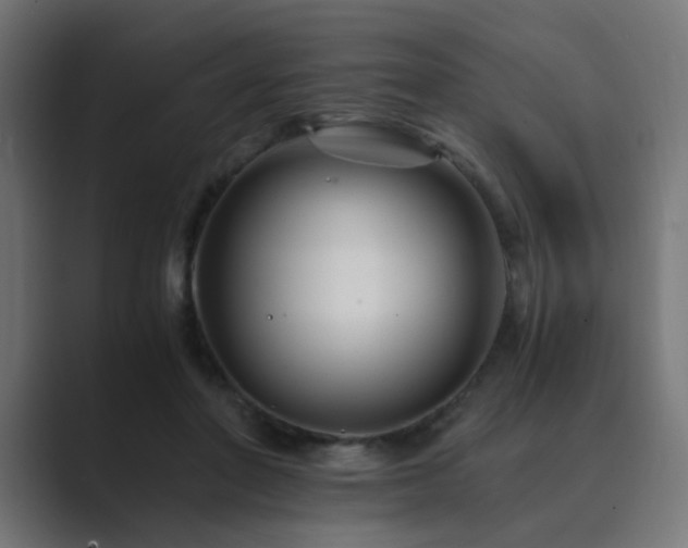 X0000089950406200706291215