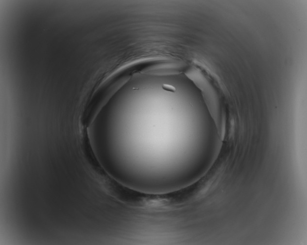 X0000089950407200706291215