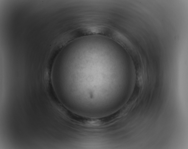 X0000089950410200706291215