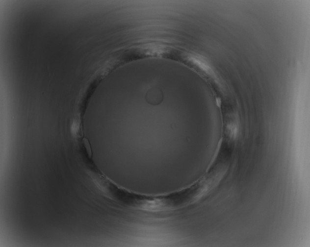 X0000089950411200706291215