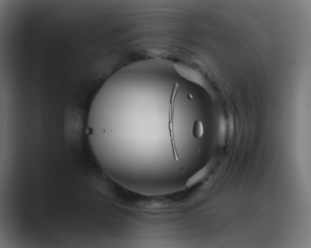 X0000089950412200706291215