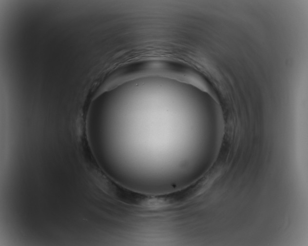 X0000089950413200706291215