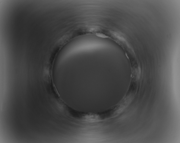 X0000089950415200706291215