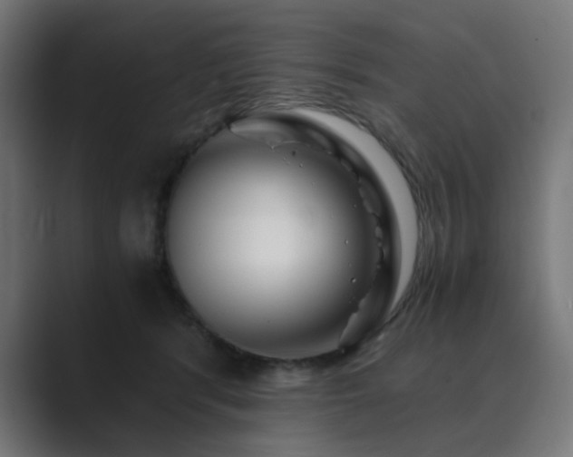 X0000089950416200706291215