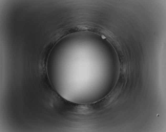X0000089950418200706291215