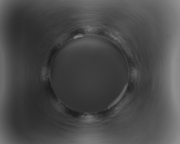 X0000089950419200706291215