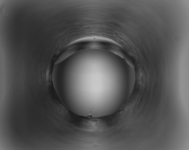 X0000089950420200706291215