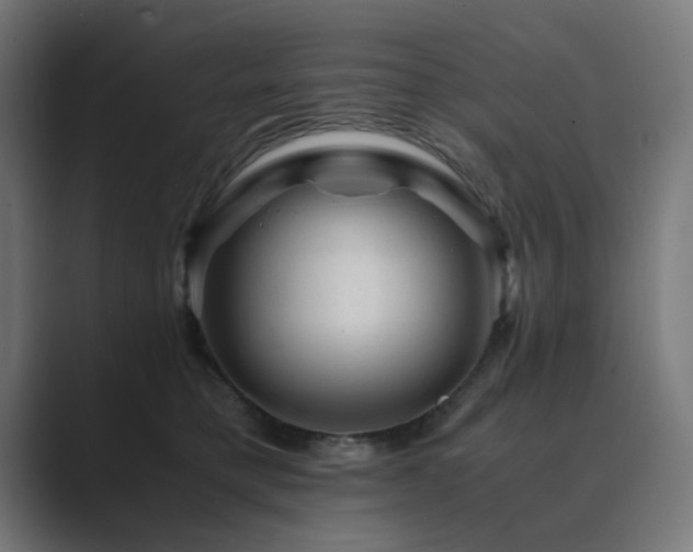 X0000089950421200706291215