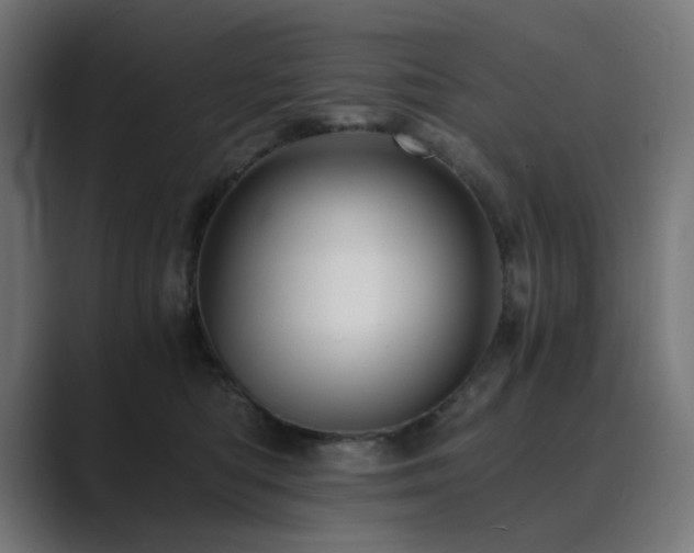 X0000089950422200706291215