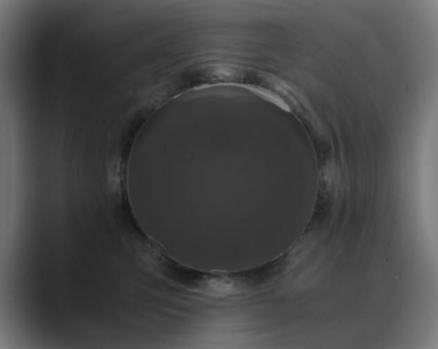 X0000089950423200706291215