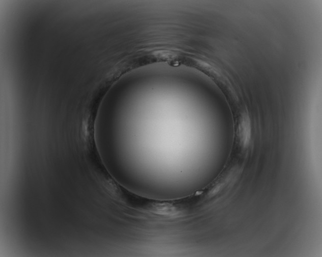 X0000089950424200706291215