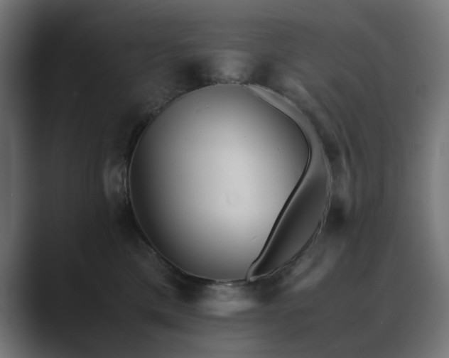 X0000089950425200706291215