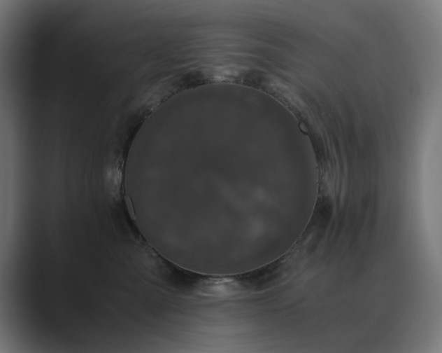 X0000089950427200706291215