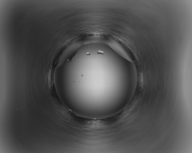 X0000089950428200706291215