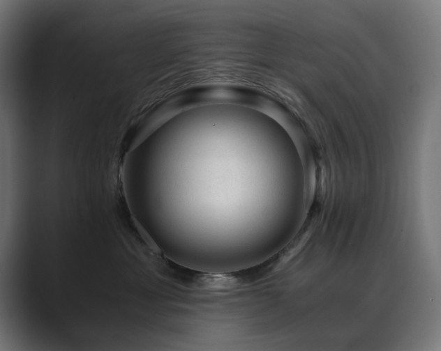 X0000089950429200706291215