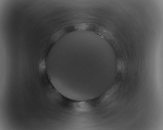 X0000089950431200706291215