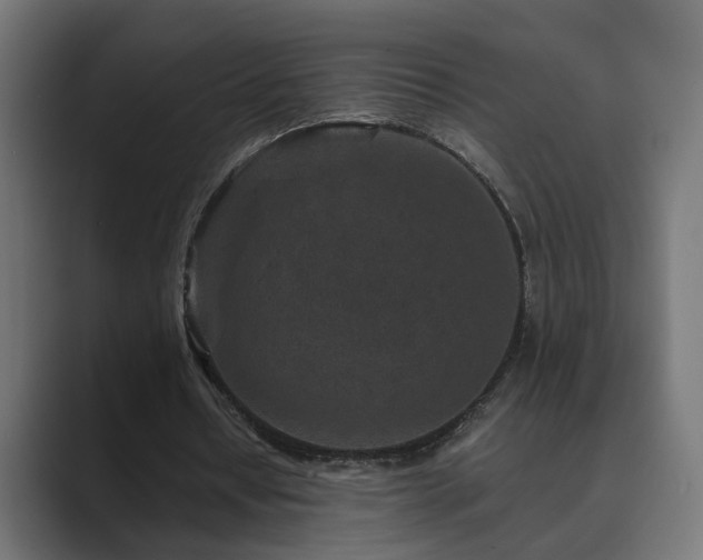 X0000089950434200706291214