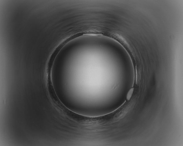 X0000089950435200706291214