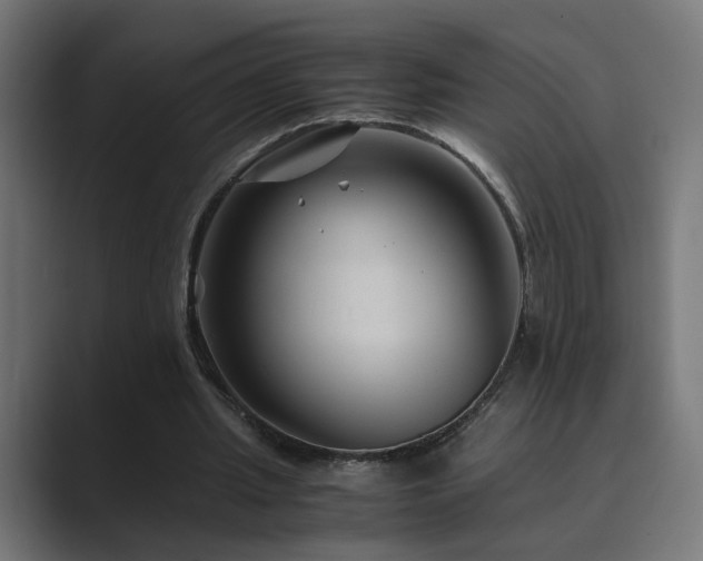 X0000089950437200706291214