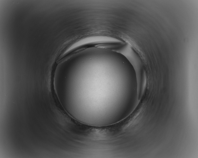 X0000089950442200706291214