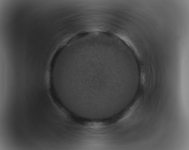 X0000089950444200706291214