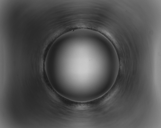 X0000089950445200706291214