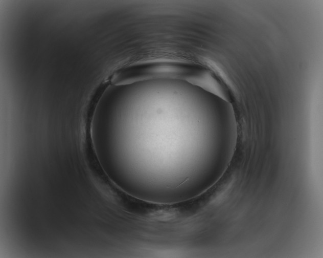 X0000089950447200706291214